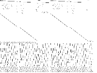 arki001 decomposed, zeros are white