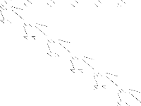 gen decomposed, zeros are white