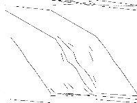 neos-3555904-turama decomposed, zeros are white