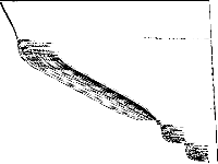 s100 decomposed, zeros are white