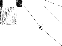 snp-10-052-052 decomposed, zeros are white