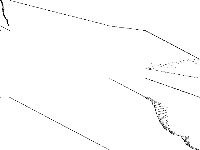usAbbrv-8-25_70 decomposed, zeros are white
