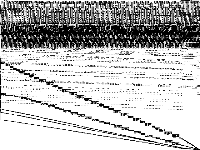 neos-pseudoapplication-48 model group composite image, zeros are white