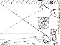 neos-pseudoapplication-49 model group composite image, zeros are white