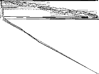 neos-pseudoapplication-85 model group composite image, zeros are white