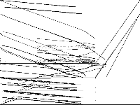 triptim model group composite image, zeros are white