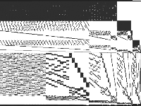 a2864-99blp raw, zeros are white