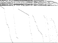 blp-ir98 raw, zeros are white