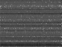 eilC76-2 raw, zeros are white