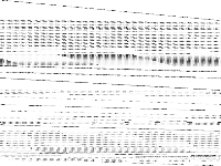 gasprod1-2 raw, zeros are white