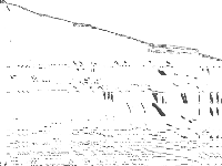 mzzv11 raw, zeros are white