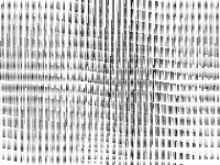 neos-5013590-toitoi raw, zeros are white