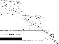 neos-5100895-inster raw, zeros are white