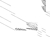 nj2 raw, zeros are white