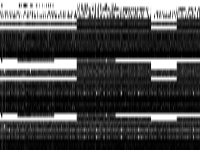 ns1952667 raw, zeros are white