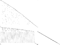 piperout-d27 raw, zeros are white