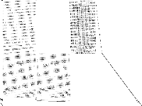 snp-10-004-052 raw, zeros are white