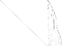 toll-like raw, zeros are white