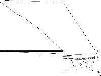 woodlands09 raw, zeros are white
