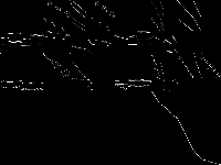 dsbmip decomposed, zeros are black