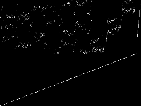 manna81 decomposed, zeros are black