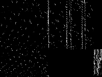 nag decomposed, zeros are black