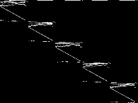 neos-4954274-beardy decomposed, zeros are black