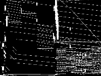 momentum model group composite image, zeros are black
