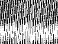 neos-pseudoapplication-106 model group composite image, zeros are black