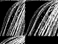 opm2 model group composite image, zeros are black