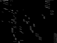 bharat raw, zeros are black