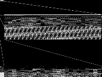 dano3_3 raw, zeros are black