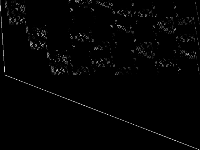 manna81 raw, zeros are black