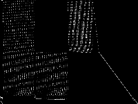 snp-06-004-052 raw, zeros are black