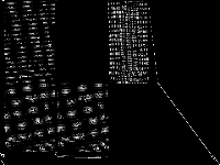 snp-10-004-052 raw, zeros are black