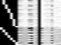 supportcase21i raw, zeros are black